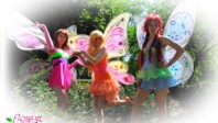 Winx 002